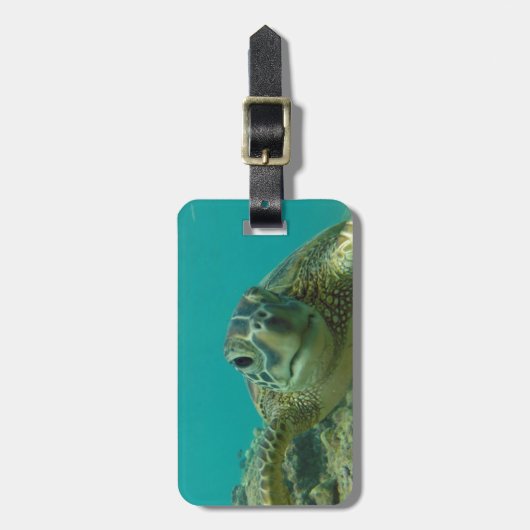 Groene Zee Turtle Bagagelabel (Voorkant verticaal)