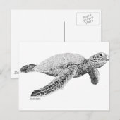 Groene Zee Turtle Briefkaart (Voorkant / Achterkant)