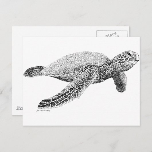 Groene Zee Turtle Briefkaart (Voorkant / Achterkant)