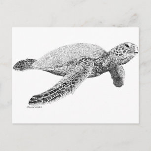 Groene Zee Turtle Briefkaart