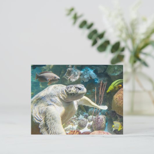 Groene Zee Turtle Briefkaart (Staand voorkant)