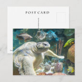 Groene Zee Turtle Briefkaart (Voorkant / Achterkant)
