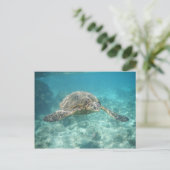 Groene Zee Turtle Briefkaart (Staand voorkant)