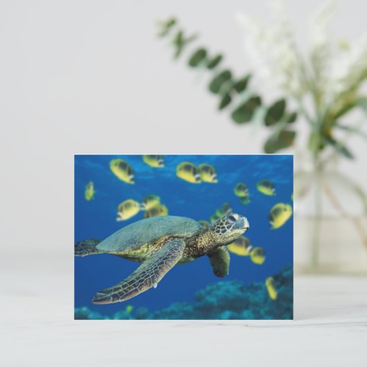 Groene Zee Turtle Briefkaart (Staand voorkant)