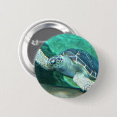 Groene Zee Turtle Button (Voorkant /achterkant)