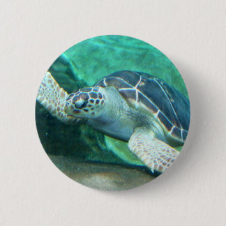 Groene Zee Turtle Button