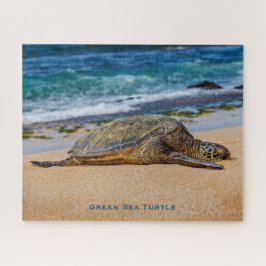 Groene Zee Turtle Legpuzzel