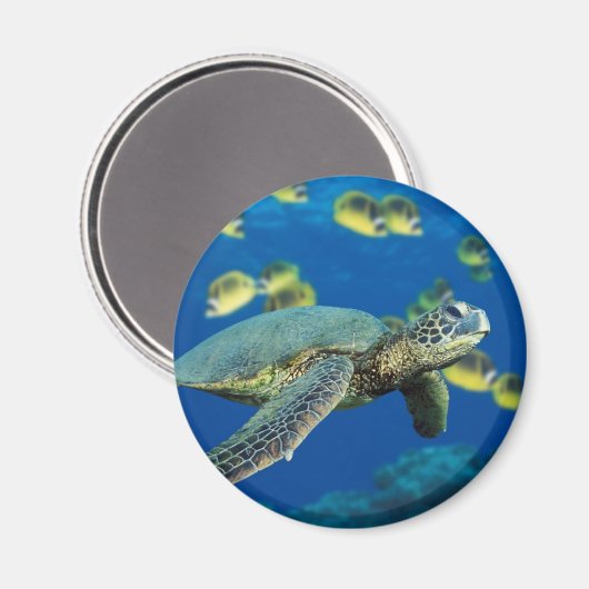 Groene Zee Turtle Magneet (Voorkant / Achterkant)
