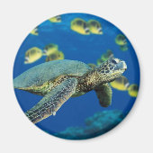 Groene Zee Turtle Magneet (Voorkant)