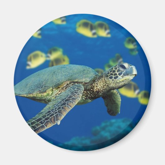 Groene Zee Turtle Magneet (Voorkant)