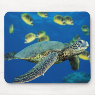 Groene Zee Turtle Muismat
