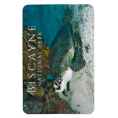 Groene Zee Turtle onder Water Biscayne NP Magneet (Verticaal)