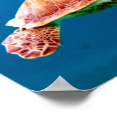 Groene Zee Turtle Poster (Hoek)