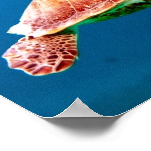 Groene Zee Turtle Poster (Hoek)