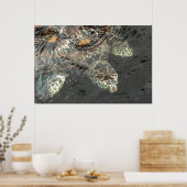 Groene Zee Turtle Poster (Keuken)