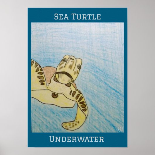Groene Zee Turtle Poster (Voorkant)