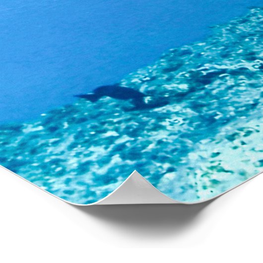 Groene Zee Turtle Poster (Hoek)