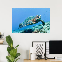 Groene Zee Turtle Poster