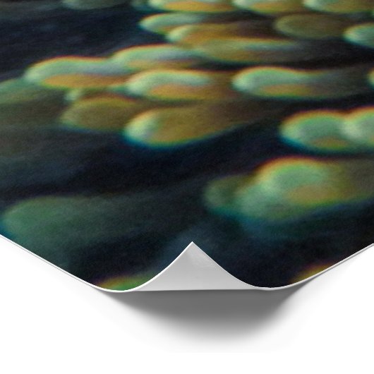 Groene Zee Turtle Poster (Hoek)