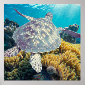 Groene Zee Turtle Poster (Voorkant)