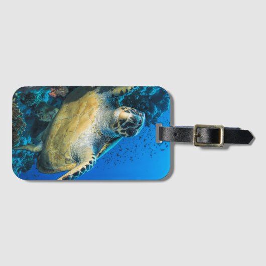 Groene Zee Turtle | Rood Zee Bagagelabel (Voorkant (horizontaal))