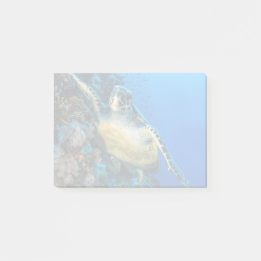 Groene Zee Turtle | Rood Zee Post-it® Notes (Voorkant)