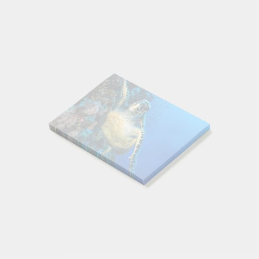 Groene Zee Turtle | Rood Zee Post-it® Notes (Schuin)