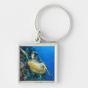 Groene Zee Turtle   Rood Zee Sleutelhanger