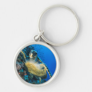 Groene Zee Turtle   Rood Zee Sleutelhanger