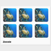 Groene Zee Turtle | Rood Zee Vierkante Sticker (Vel)