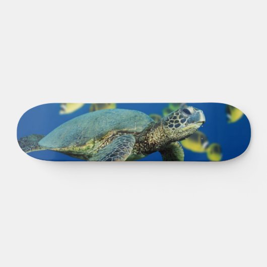 Groene Zee Turtle Skateboard (Horizontaal)