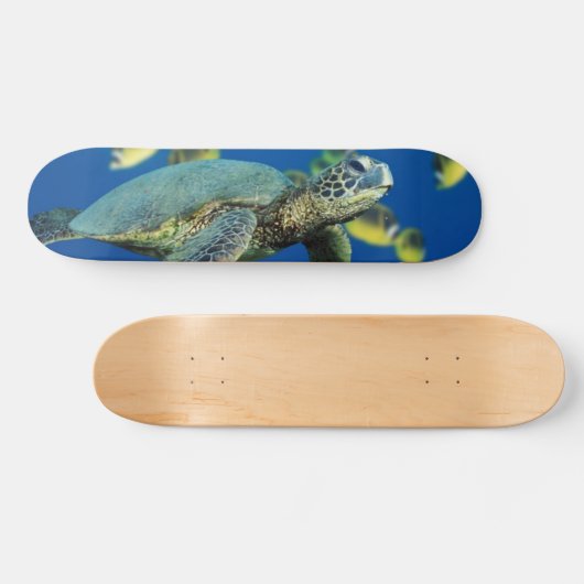 Groene Zee Turtle Skateboard (Horizontaal)