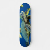 Groene Zee Turtle Skateboard (Voorkant)