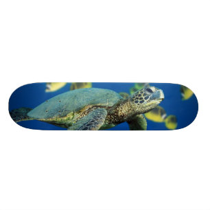 Groene Zee Turtle Skateboard