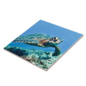 Groene Zee Turtle Tegeltje (Zijkant)