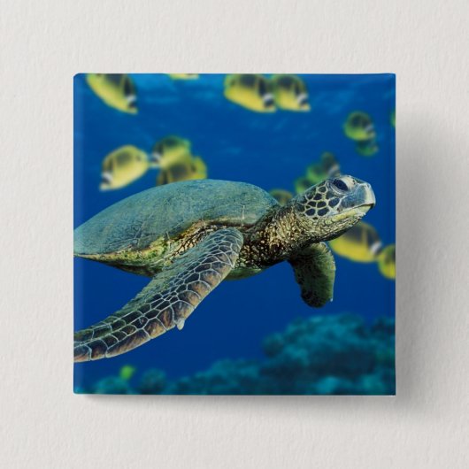 Groene Zee Turtle Vierkante Button 5,1 Cm (Voorkant)