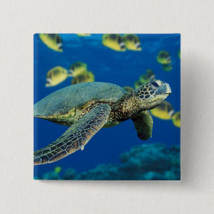 Groene Zee Turtle Vierkante Button 5,1 Cm