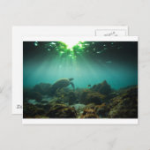 Groene zeeduivel zee schildpad onderwater briefkaart (Voorkant / Achterkant)