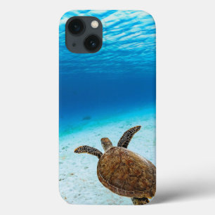 Groene zeeen schildpad, Groene schildpad, Zeeen sc Case-Mate iPhone Case