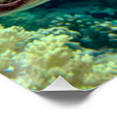 Groene Zeeen schildpad zwemt het rode Zee Perfect Poster (Hoek)