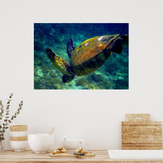 Groene Zeeen schildpadden Poster (Keuken)