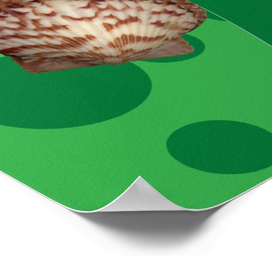 Groene Zeemeermin en Dolphin Print (Hoek)