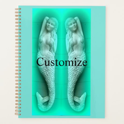 groene zeemeermin planner (Voorkant)