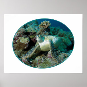 Groene zeeschildpad bij koralen - Fotografisch ont Poster