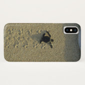 Groene zeeschildpad, (Chelonia mydas), jong Case-Mate iPhone Case (Achterkant (horizontaal))