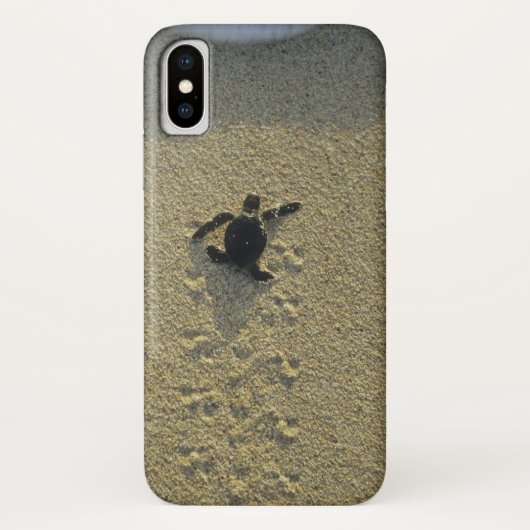 Groene zeeschildpad, (Chelonia mydas), jong Case-Mate iPhone Case (Achterkant)