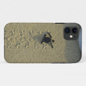 Groene zeeschildpad, (Chelonia mydas), jong dier Case-Mate iPhone Case (Achterkant (horizontaal))
