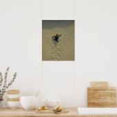 Groene zeeschildpad, (Chelonia mydas), jong Poster (Keuken)