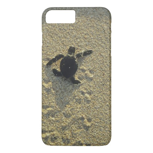 Groene zeeschildpad, (Chelonia mydas), uitkomend j Case-Mate iPhone Case (Achterkant)