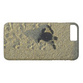 Groene zeeschildpad, (Chelonia mydas), uitkomend j Case-Mate iPhone Case (Achterkant (Horizontaal))